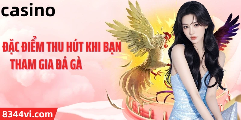 Hình ảnh quảng cáo của mcw18 hiển thị nền tảng và các lợi ích